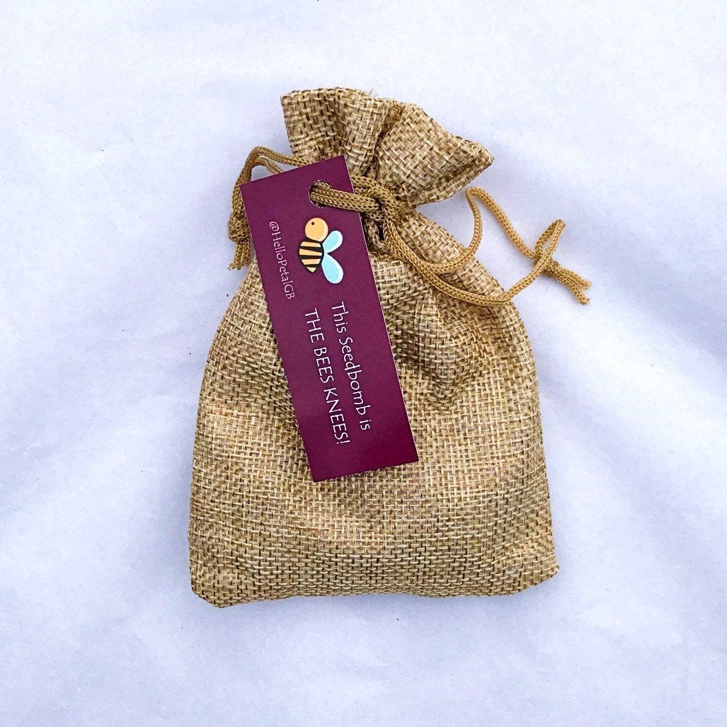 The Bee's Knees - Seed Bomb Gift Pouch