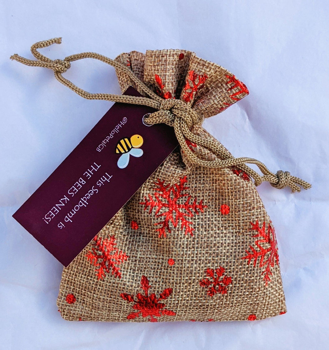 The Bee's Christmas Knees - Snowflake Seed Bomb Gift Pouch